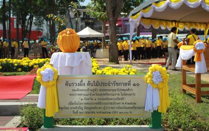 ผู้ว่าราชการจังหวัดนครศรีธรรมราช ปลูกต้นไม้มงคลพระราชทาน “ต้นรวงผึ้ง” ณ ศาลากลางจังหวัด ในโอกาสมหามงคลพระราชพิธีบรมราชาภิเษก และเพื่อความเป็นสิริมงคล