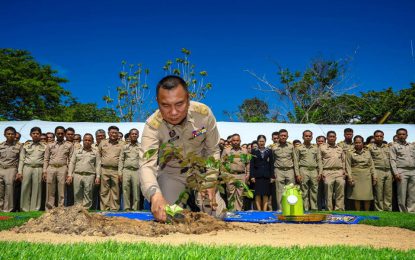 ผู้ว่าราชการจังหวัดสงขลา เชิญต้นไม้มงคลพระราชทาน “ต้นรวงผึ้ง” ปลูกบริเวณหน้าศาลากลางจังหวัดสงขลา (หลังเก่า) เพื่อแสดงถึงความจงรักภักดี สำนึกในพระมหากรุณาธิคุณและเฉลิมพระเกียรติ เนื่องในโอกาสมหามงคลพระราชพิธีบรมราชาภิเษก พุทธศักราช 2562