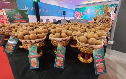 “พาณิชย์ลำพูน” เปิดงาน RoadShow รณรงค์การบริโภคลำไยลำพูน ชูชื่องาน “ลำไยคือลำพูน ลำพูนคือลำไย @หาดใหญ่” หวังกระตุ้นการบริโภคลำไยเพิ่มมากขึ้น ตลอดจนแก้ไขปัญหาราคาผลผลิตลำไยตกต่ำ