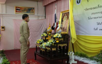 พิเชษฐ์  ฯ  รองผู้ว่าราชการจังหวัดภูเก็ต  เป็นประธานเปิดโครงการคัดกรองมะเร็งเต้านม โดยเครื่องเอ็กซเรย์เต้านมเคลื่อนที่ (Mammogram)  ในสตรีกลุ่มเสี่ยงและด้อยโอกาสในโอกาสมหามงคลพระราชพิธีบรมราชาภิเษกพุทธศักราช 2562