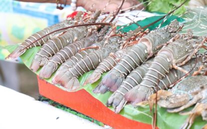 มหกรรมอาหารซีฟู้ด “PHUKET TASTIVAL Seafood & Gastronomy : หรอย-ยก-โล” เสริมการท่องเที่ยวจังหวัดภูเก็ต ณ ปลายแหลมสะพานหิน วันนี้จนถึงวันที่ 4 เมษายน 2565 นี้
