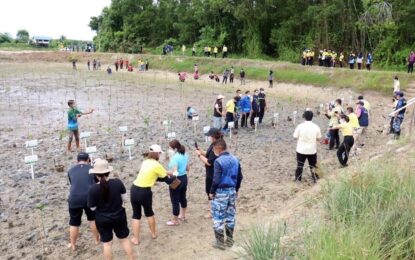 ภูเก็ตจัดกิจกรรมปลูกป่าชายเลน เนื่องใน “วันป่าชายเลนแห่งชาติ”