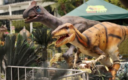 เมกาบางนา ชวนตะลุยดินแดนไดโนเสาร์ในงาน “Dino Fest” พิเศษ! สมาชิกเมกา สไมล์ คิดส์ และเมกา สไมล์ รีวอร์ดส แลกบัตรเข้างาน ฟรี! ตั้งแต่วันนี้ – 26 มิ.ย. 65 ณ ลานจอดรถ โซนเมกา พลาซ่า ศูนย์การค้าเมกาบางนา