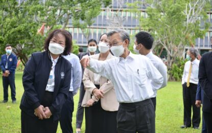 ประธานรัฐสภา ชี้ต้นไทรโบราณหน้ารัฐสภาล้ม เพราะรากเปื่อยแต่ยังไม่ตาย แนะขอเจ้าหน้าที่ผู้เชี่ยวชาญจากกรมป่าไม้จะมาตรวจสอบอีกครั้ง