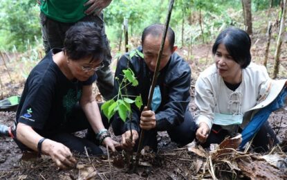 “คุณหญิงกัลยา” นำทีมฟื้นป่า 10 ไร่ โครงการหลวงหนองหอย จ.เชียงใหม่ โดยร่วมกับภาคีเครือข่ายภาครัฐร่วมกับเอกชน