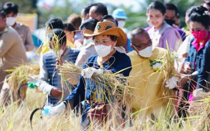 คุณหญิงกัลยา” ถวายพระพรชัยมงคล เนื่องในวันคล้ายวันพระบรมราชสมภพ ในหลวง ร.9 พร้อมขอสืบสานพระราชปณิธาน น้อมนำศาสตร์พระราชา มุ่งพัฒนาประเทศชาติ