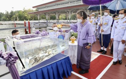 สมเด็จพระกนิษฐาธิราชเจ้า กรมสมเด็จพระเทพรัตนราชสุดา ฯ สยามบรมราชกุมารี เสด็จพระราชดำเนินไป ทรงบำเพ็ญพระราชกุศล ปล่อยพันธุ์สัตว์น้ำ เนื่องในโอกาสวันคล้ายวันพระราชสมภพ วันที่ ๒ เมษายน ๒๕๖๕ ณ ท่าวาสุกรี เขตดุสิต กรุงเทพมหานคร