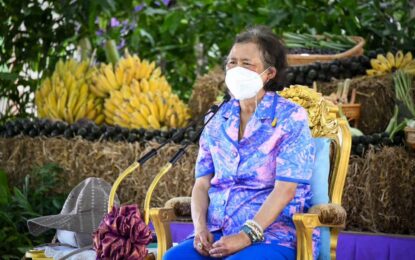 สมเด็จพระกนิษฐาธิราชเจ้า กรมสมเด็จพระเทพรัตนราชสุดา ฯ สยามบรมราชกุมารี เสด็จพระราชดำเนินไปทรงติดตามการดำเนินโครงการทหารพันธุ์ดีน่าน ณ โครงการทหารพันธุ์ดีน่าน ฐานปฏิบัติการแสงเพ็ญ อำเภอภูเพียง จังหวัดน่าน