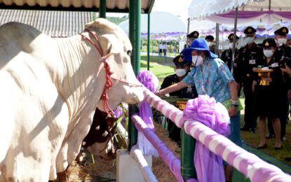 สมเด็จพระกนิษฐาธิราชเจ้า กรมสมเด็จพระเทพรัตนราชสุดา ฯ สยามบรมราชกุมารี เสด็จพระราชดำเนินไปทอดพระเนตรการดำเนินโครงการเกษตรรวมใจอันเนื่องมาจากพระราชดำริ และโครงการทหารพันธุ์ดี ณ โรงเรียนทหารการสัตว์ กรมการสัตว์ทหารบก อำเภอเมือง จังหวัดนครนายก