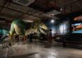 ‘Thainosaur’ เมื่อไดโนเสาร์ไทยกลับมามีชีวิตอีกครั้ง ในนิทรรศการที่ยิ่งใหญ่ที่สุด! สมจริงทุกรายละเอียด อวดสีสันแท้ที่โลกไม่เคยรู้ ทุกสายพันธุ์รวมอยู่ใน ‘ท่าพิพิธภัณฑ์’