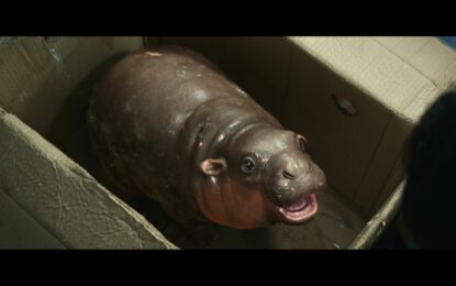 ส่อง!ความน่ารัก “หมูเด้ง” ครั้งแรกโลดแล่นบนแผ่นฟิล์ม ดึงทีมซีจีมือดีปั้นฮิปโปซุป’ตาร์ใน “ฟู้ดทรัค ลัก(รัก)หมูเด้ง”